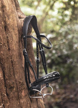 Load image into Gallery viewer, Switch 2810 MagicTack Multifunctional Bridle Black Patent FS
