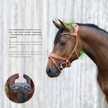 Load image into Gallery viewer, Freedom II Snaffle Bridle Slide&Lock - Pre Order