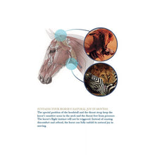 Load image into Gallery viewer, Freedom II Snaffle Bridle Slide&Lock FS Black