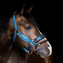 Load image into Gallery viewer, Reflective Halter With LK Controller Full - Pre Order