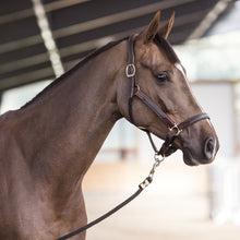 Load image into Gallery viewer, Leather Stable Halter NT Ebony COB
