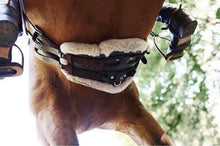 Load image into Gallery viewer, Equi-Soft Girth With Detachable Pad
