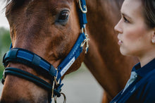 Load image into Gallery viewer, Reflective Halter With LK Controller Cob - Pre Order