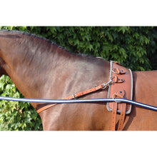 Load image into Gallery viewer, AKA Chest Strap - Pre Order