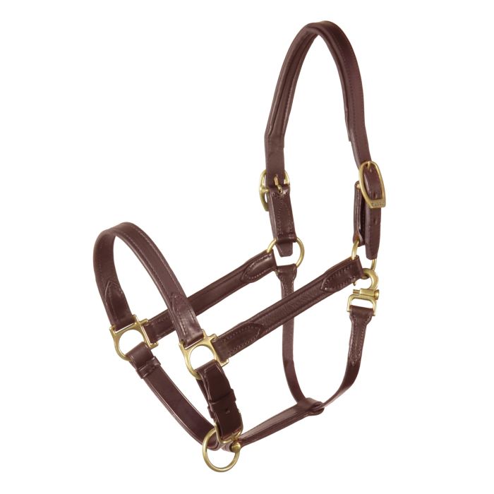 Leather Stable Halter NT Ebony COB