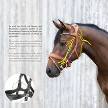 Load image into Gallery viewer, Freedom II Snaffle Bridle Slide&amp;Lock FS Black
