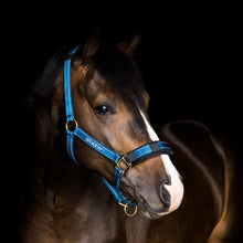 Load image into Gallery viewer, Reflective Halter Full - Pre Order
