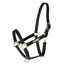 Load image into Gallery viewer, NEW Donegal leather halter
