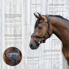 Load image into Gallery viewer, Freedom II Snaffle Bridle Slide&amp;Lock FS Black
