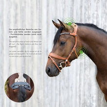 Load image into Gallery viewer, Freedom II Snaffle Bridle Slide&amp;Lock - Pre Order
