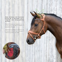 Load image into Gallery viewer, Freedom II Snaffle Bridle Slide&amp;Lock FS Black
