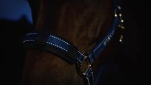 Load image into Gallery viewer, Reflective Halter Full - Pre Order
