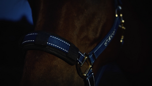 Reflective Halter Full - Pre Order