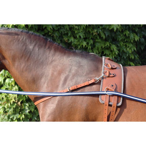 AKA Chest Strap - Pre Order