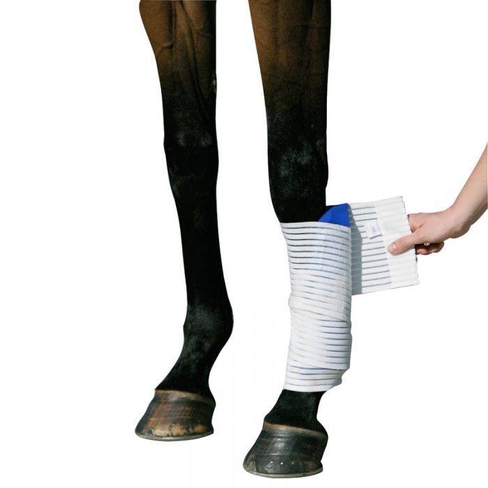Kryo Kompakt Elastic Bandage - Pre Order