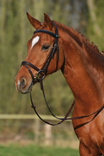 Load image into Gallery viewer, Leitrim 2300 Snaffle Bridle Ebony
