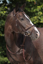 Load image into Gallery viewer, Leitrim 2300 Snaffle Bridle Ebony
