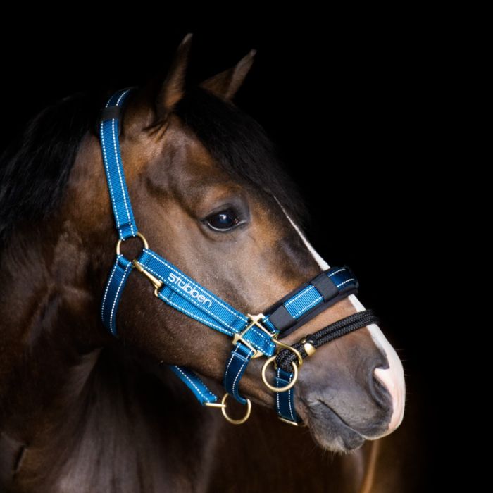 Reflective Halter With LK Controller Cob - Pre Order